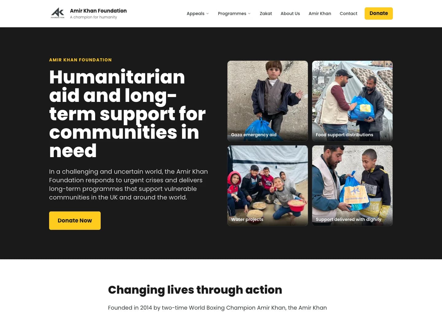 The Amir Khan Foundation public website and programme presentation.